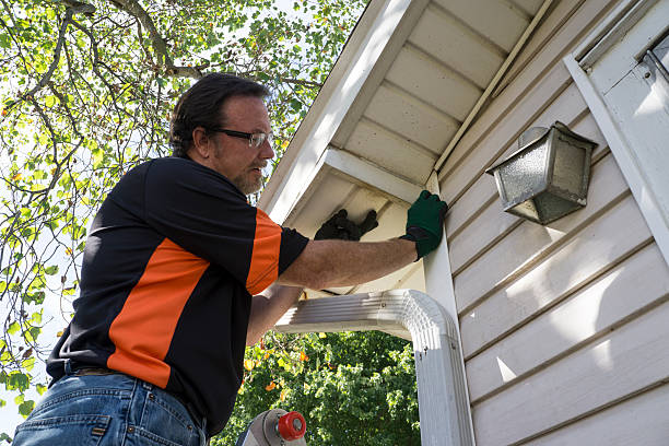 Best Stone Veneer Siding  in Poynette, WI